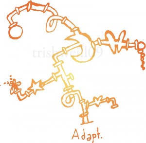adapt