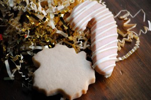 moonlightcookie moonlightcookie