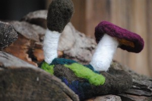 mushrooms